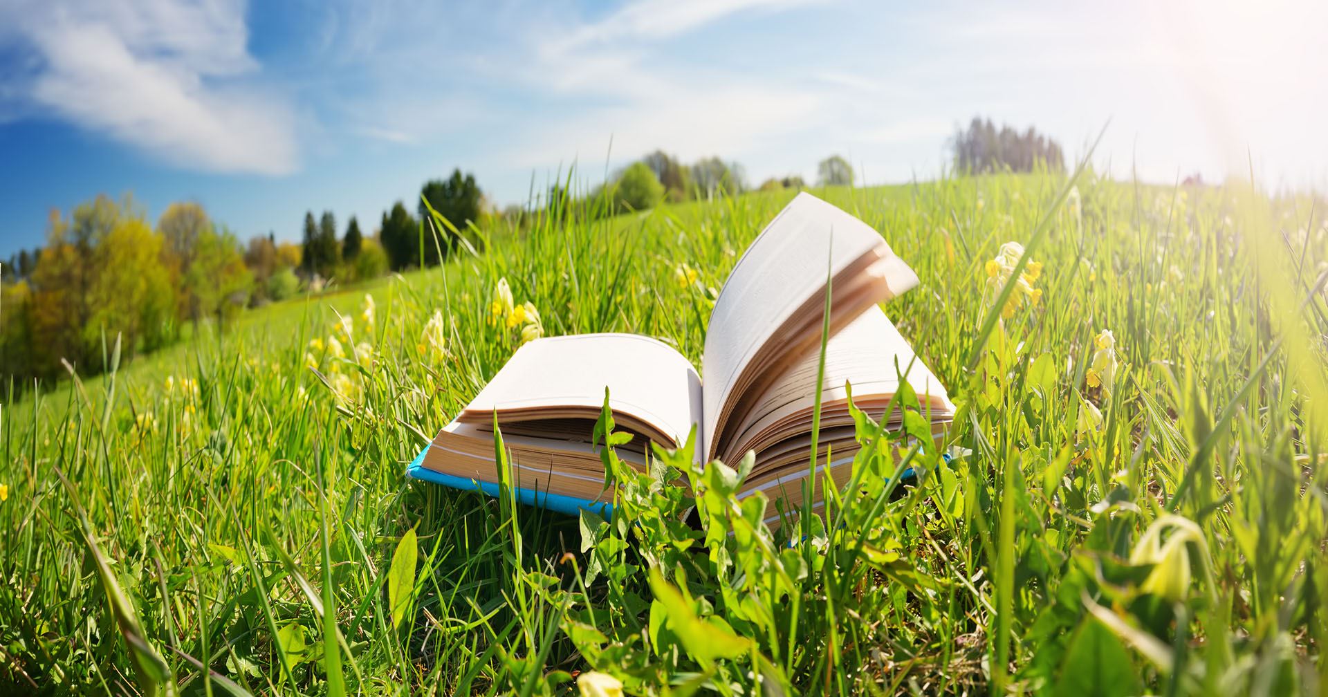 Open hardback book in a green field