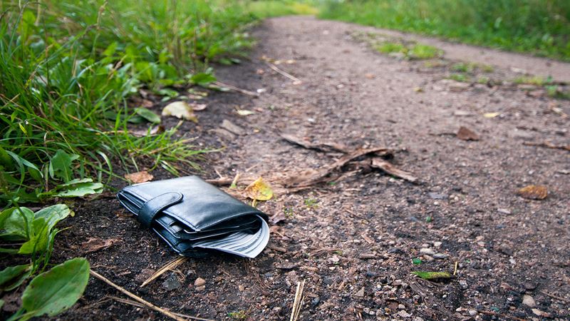 wallet with cash laying on a dirt path